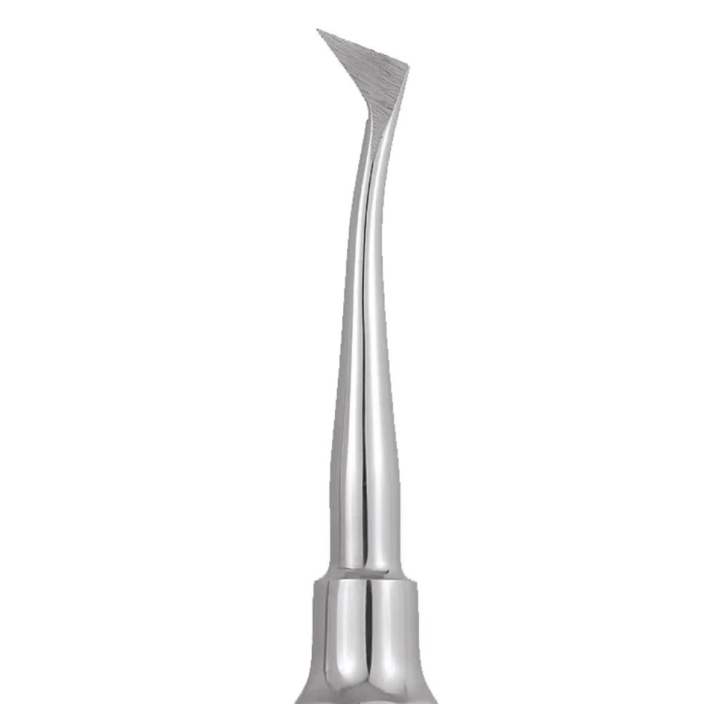 GDC Root Elevators Cryer - Right Standard (Ea31)